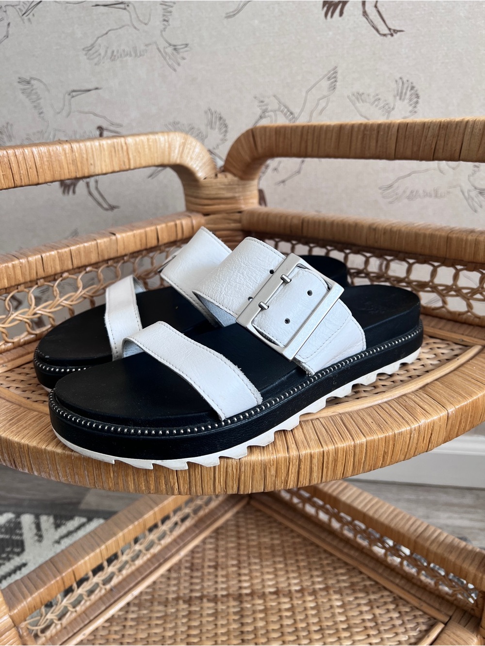 Sorel‎ black and white slides